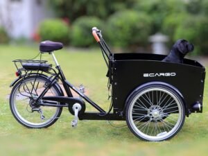 black electric cargo bike