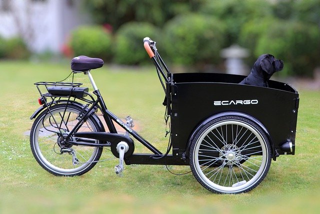 black electric cargo bike